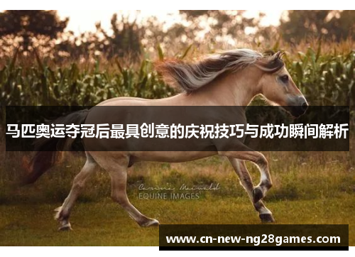 马匹奥运夺冠后最具创意的庆祝技巧与成功瞬间解析 马匹奥运夺冠后最具创意的庆祝技巧与成功瞬间解析