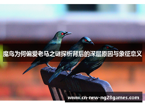 魔鸟为何偏爱老马之谜探析背后的深层原因与象征意义 魔鸟为何偏爱老马之谜探析背后的深层原因与象征意义