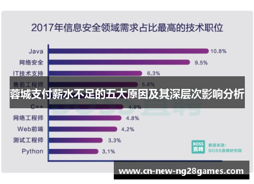 蓉城支付薪水不足的五大原因及其深层次影响分析