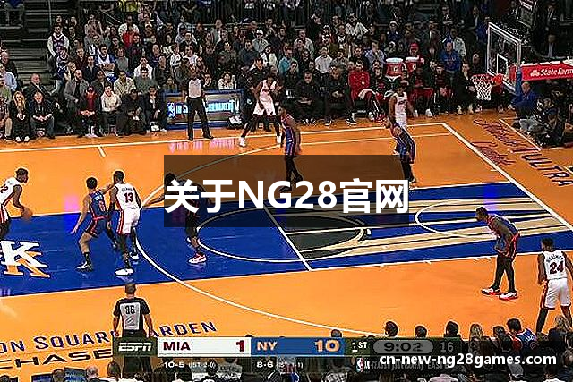 关于NG28官网
